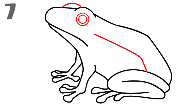 Cute Frog Drawings - ClipArt Best
