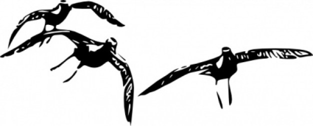 Birds Flying clip art | Download free Vector