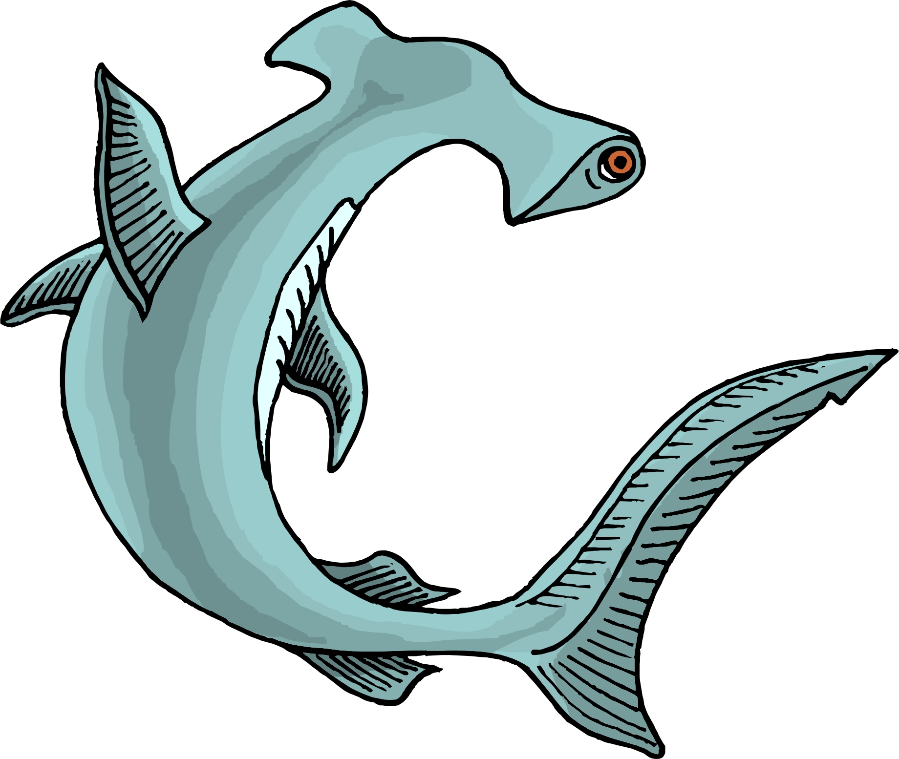 Hammerhead Shark Clip Art - Free Clipart Images