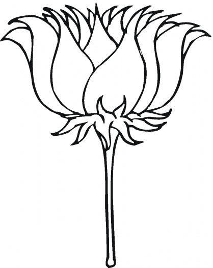 Picture Of Lotus For Colouring - ClipArt Best