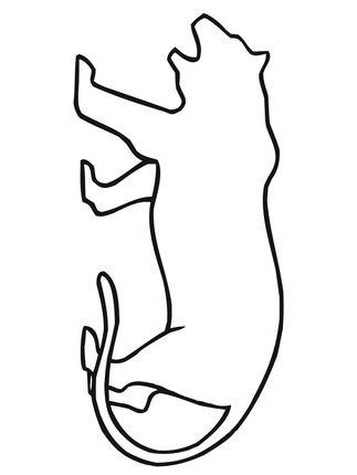 Tiger Outline coloring page | SuperColoring.com