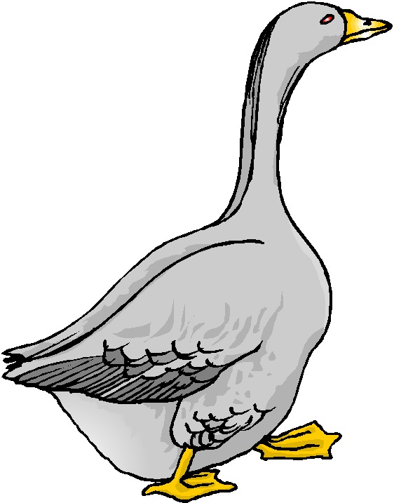 Goose Clip Art Free - Free Clipart Images