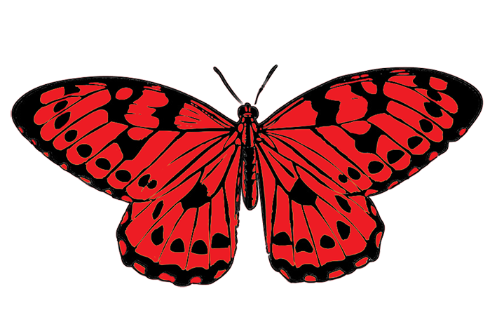 Black Red Butterfly Clip Art Png - ClipArt Best