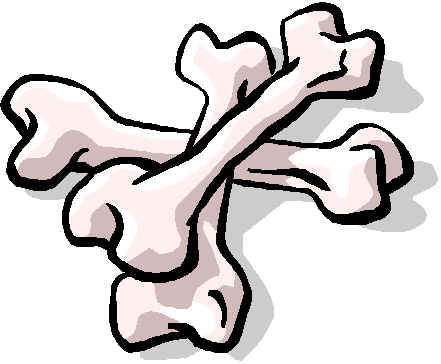 Bone clipart