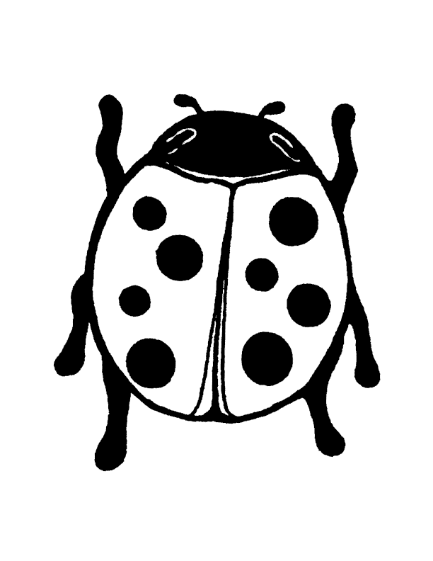 lady bug outline - get domain pictures - getdomainvids.com