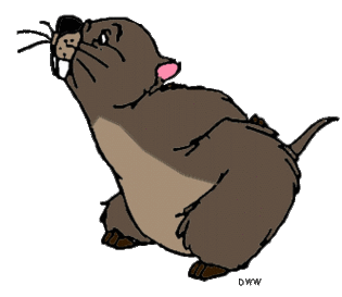 Woodchuck Clip Art Clipart - Free to use Clip Art Resource