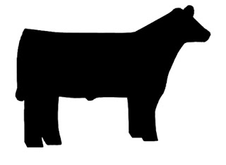 Steer-clip-art.jpg