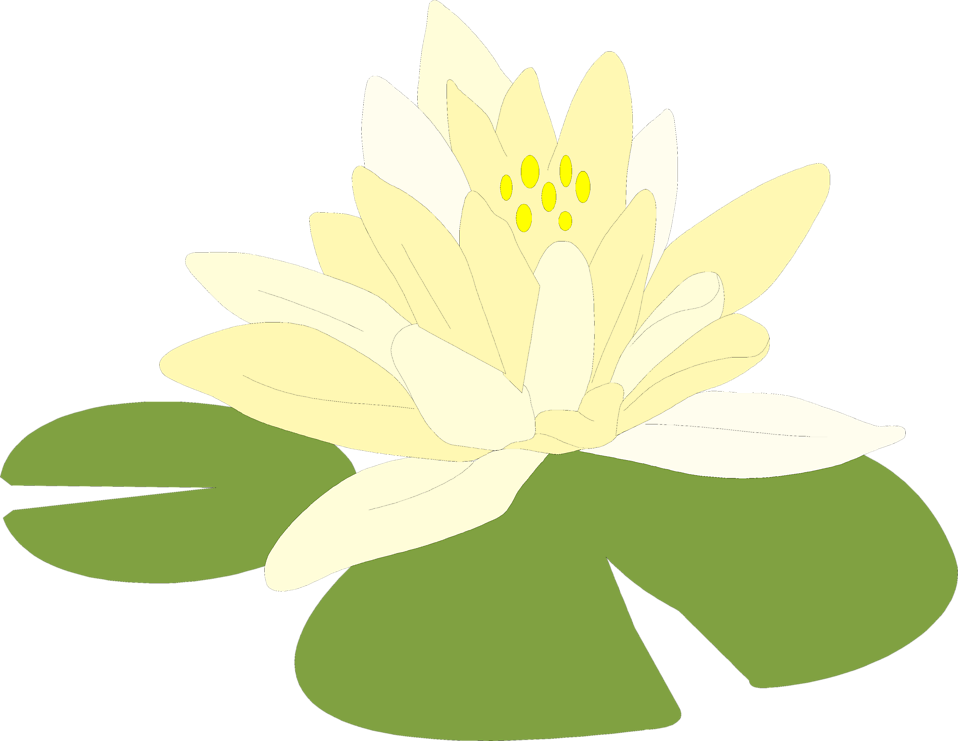 No background frog on lily pad clipart