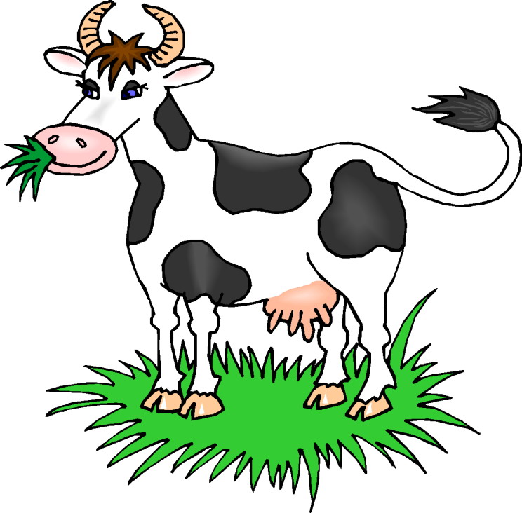 Cow eating clipart