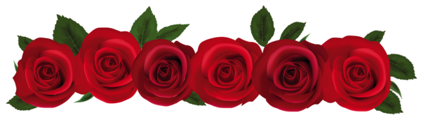 Red, Red roses and Roses