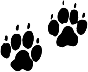 Dog Foot Logo Clipart - Free to use Clip Art Resource