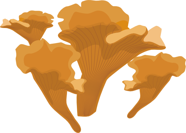 Fungus Clip Art - vector clip art online, royalty ...