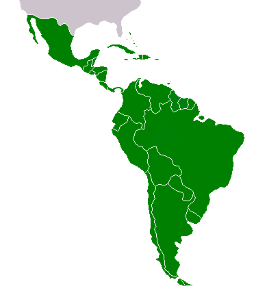 Vegetation In South America - ClipArt Best