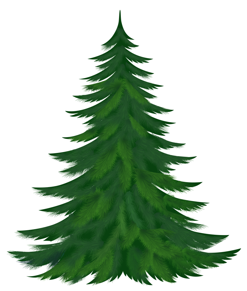 Pine tree images clip art