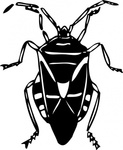 Lightning Bug Vector - Download 346 Vectors (Page 1)