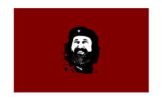 che_stallman_thumb