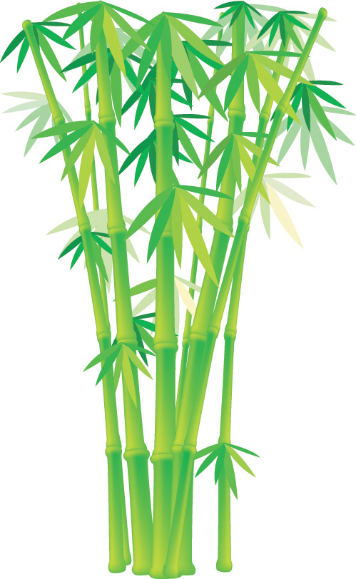 Bamboo grass plant vector Free Vector / 4Vector