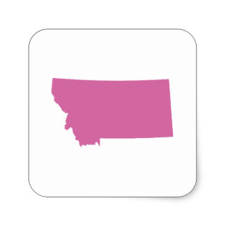 Montana Outline Stickers | Zazzle