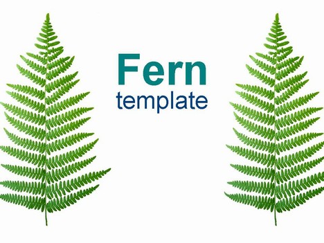 Fern Clipart | Free Download Clip Art | Free Clip Art | on Clipart ...