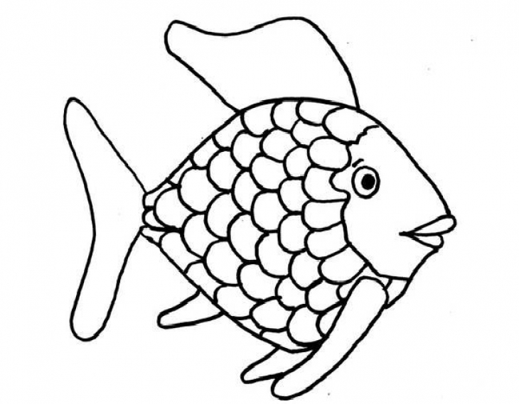 Fish Color Pages - CartoonRocks.com