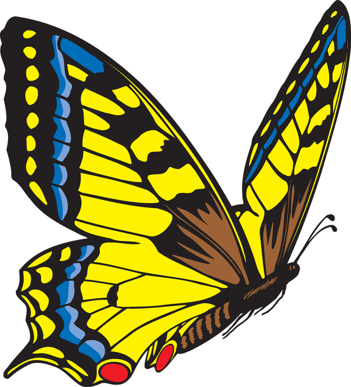 Free butterfly clipart flying