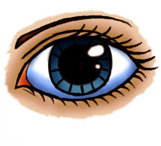Cartoon Eyeball | Free Download Clip Art | Free Clip Art | on ...