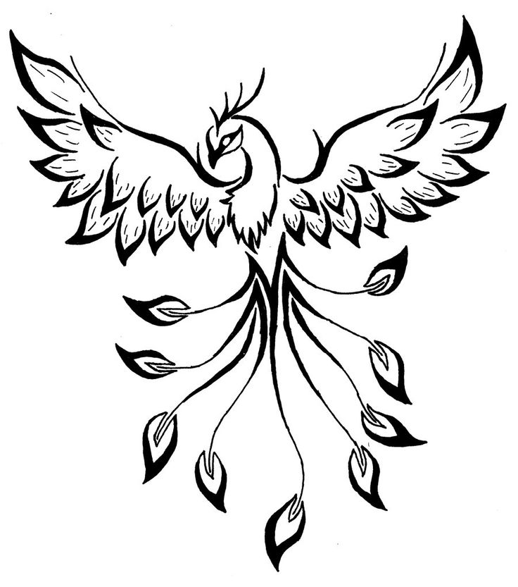 Phoenix Tattoos | Phoenix, Phoenix ...