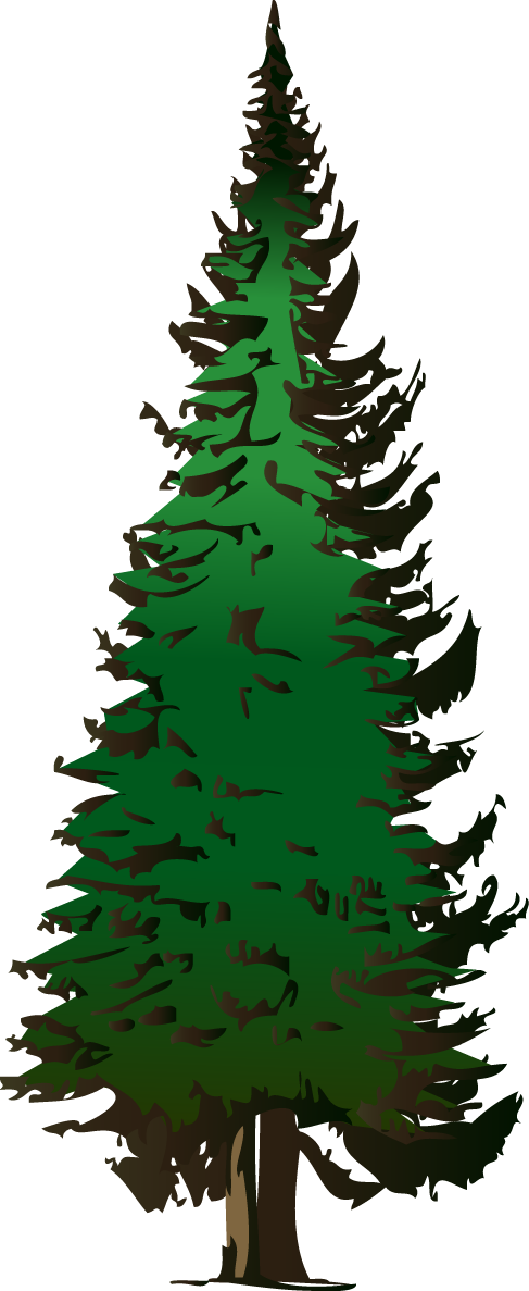 Pine Tree Graphic - ClipArt Best