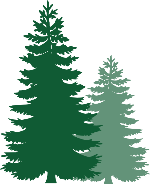 Pine tree clipart images