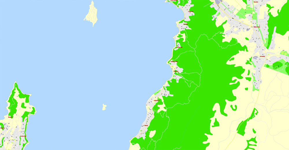 Wellington, New Zealand, Printable Map, exact vector street map V3 ...