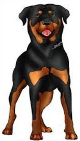 Free Rottweiler Clipart