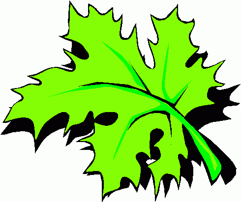 leaf_03 clipart - leaf_03 clip art