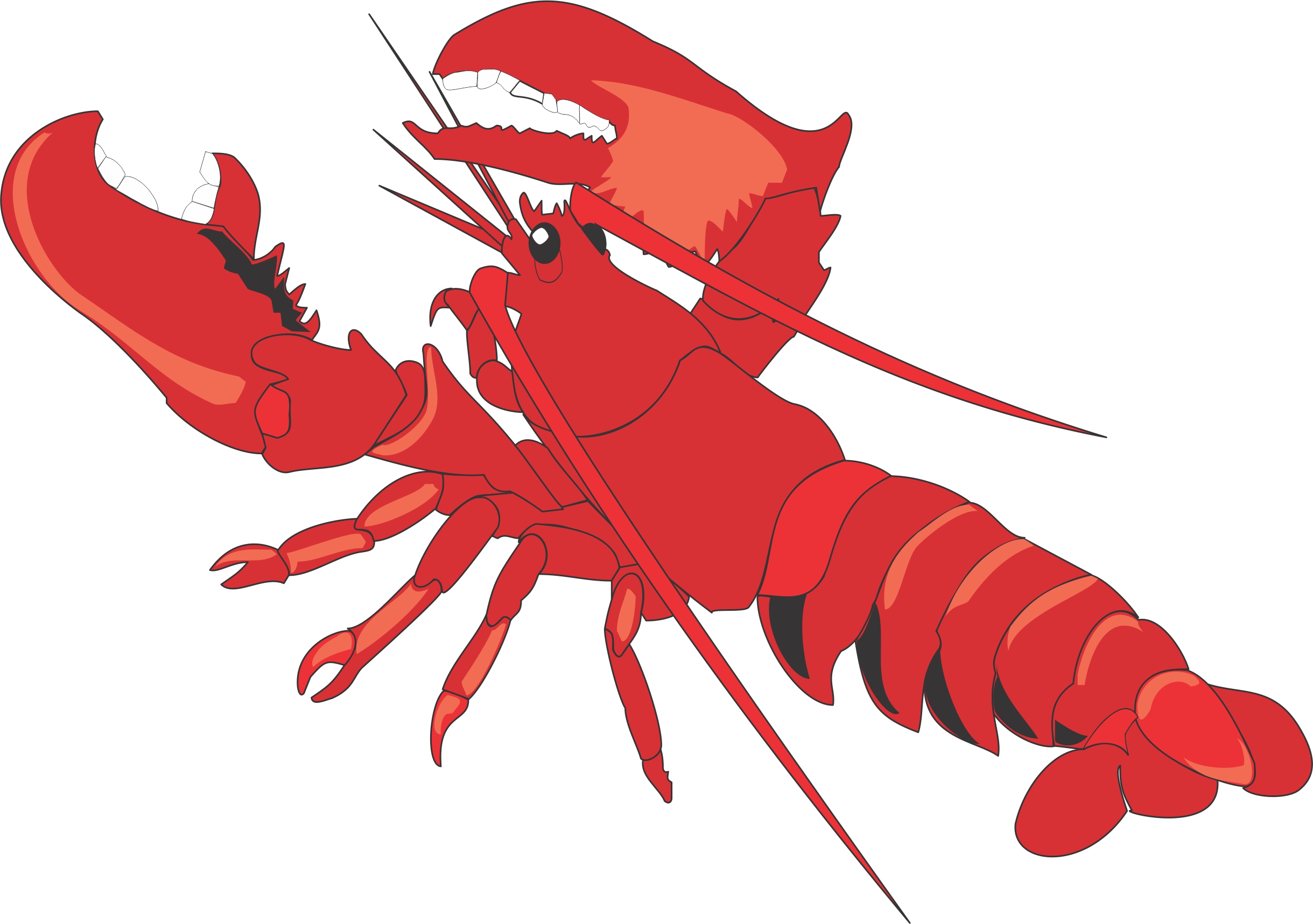 Lobster Cartoon Images
