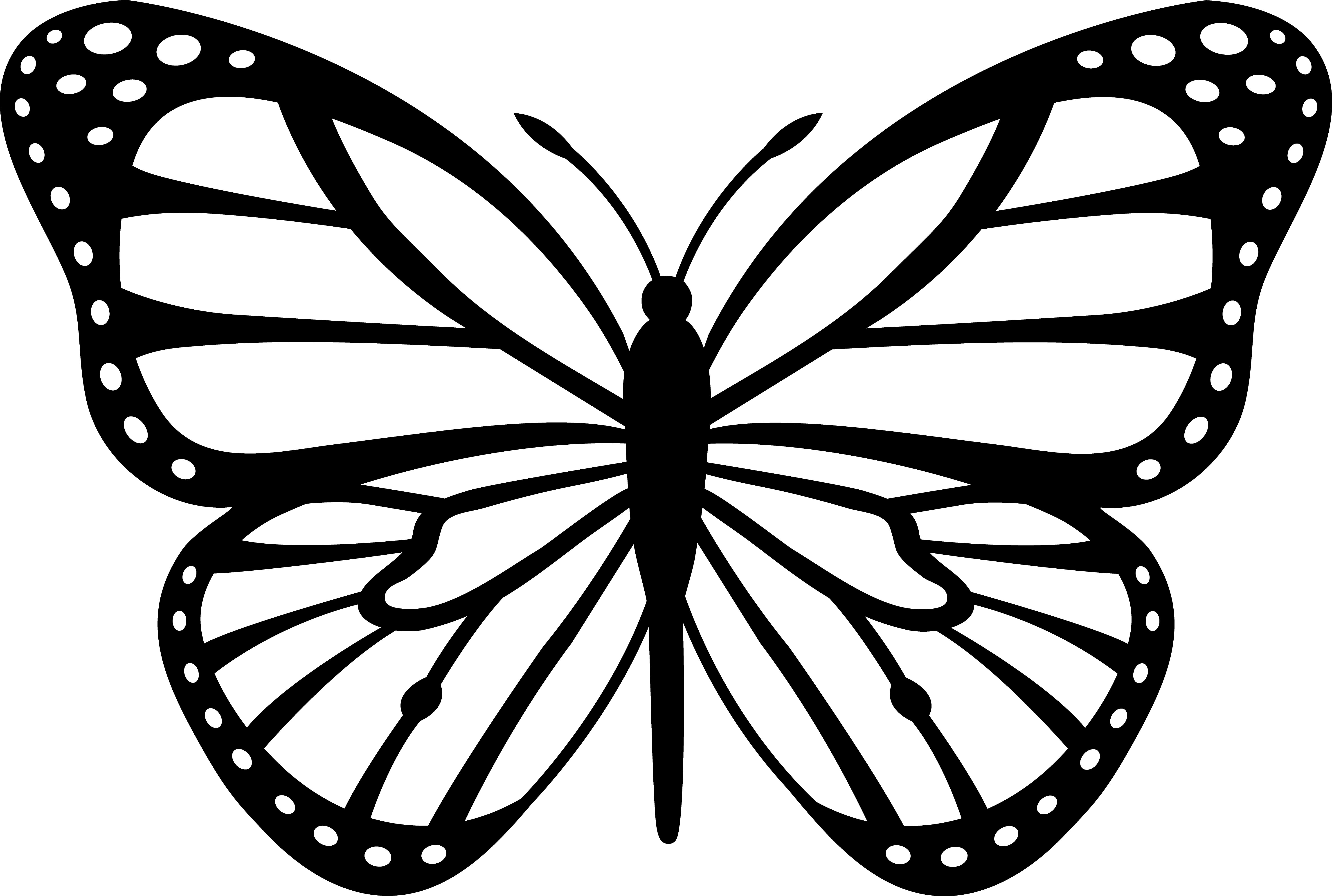 Coloring to print : Animals - Insects - Butterfly number 207894