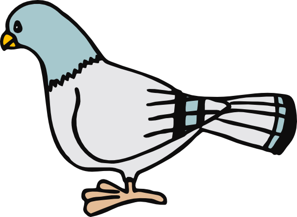 Pigeon clip art Free Vector / 4Vector