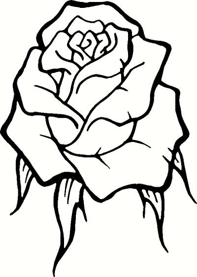 Rose Outline Drawing - ClipArt Best