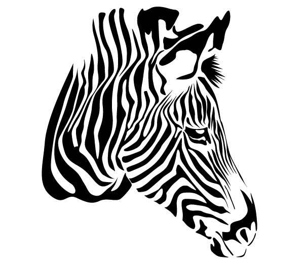Free Zebra Head Vector | Download Free Vector Art | Free-Vectors