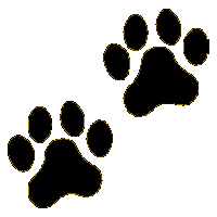 Paw print pics clipart