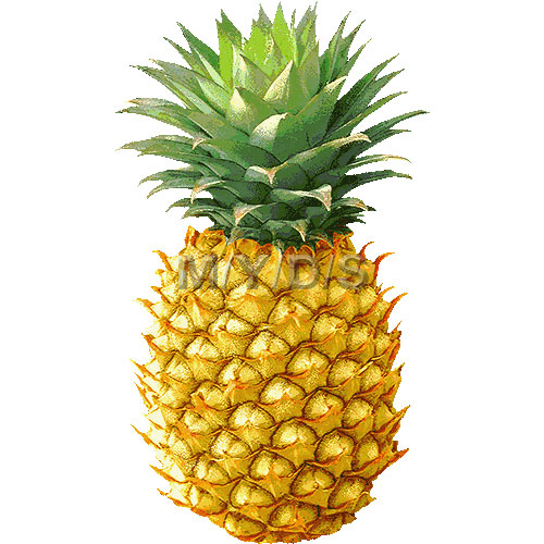 Clip Pineapple | Pineapple, Clip Art and Metal Art