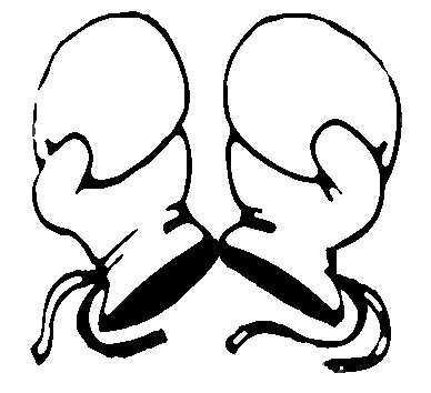 Boxing Gloves Drawn - ClipArt Best