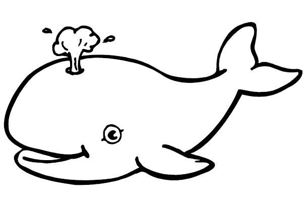 Whale Coloring Pages - Free Clipart Images