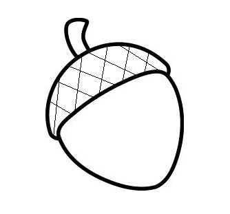 small acorn drawing