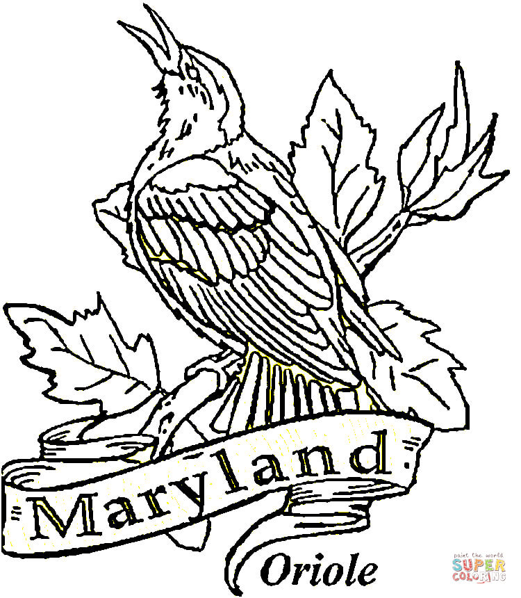 State birds coloring pages | Free Coloring Pages