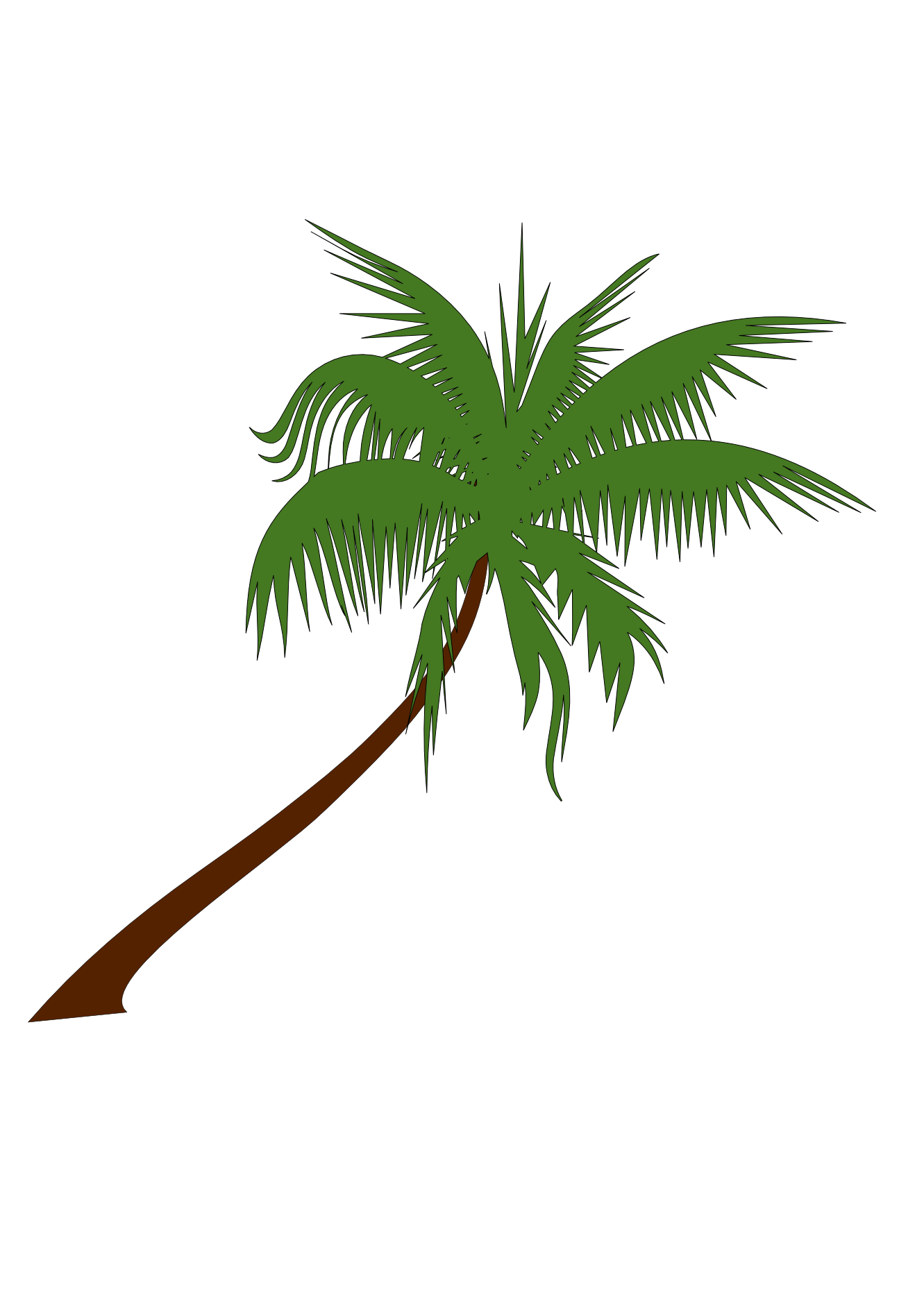 Palm Tree Drawings