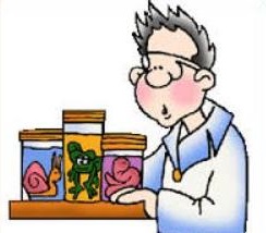 Free Biologist Clipart