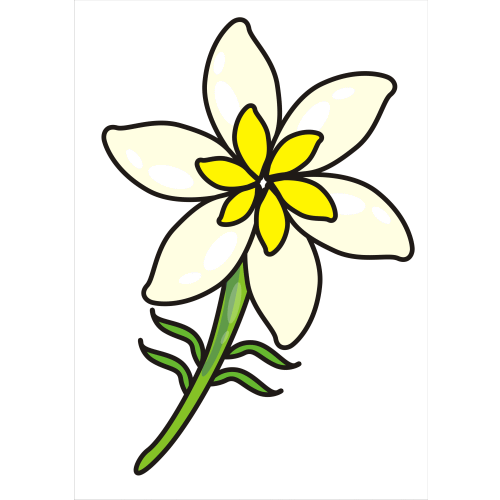 Jasmine Flower Clip Art – Clipart Free Download