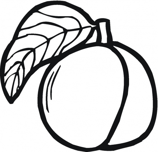 Mango Tree Colouring Pages Clipart - Free to use Clip Art Resource