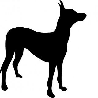 33+ Dog Training Clipart