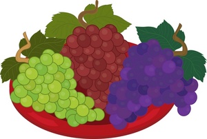 Grapes fruit clipart