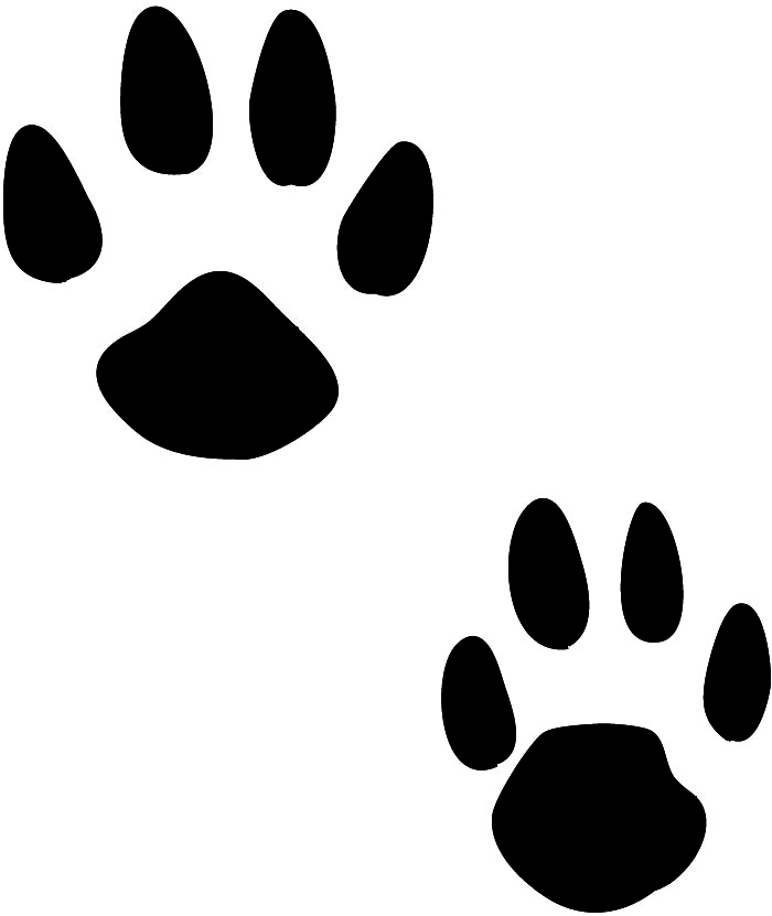 Real Bunny Paw Print - ClipArt Best